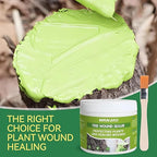 Tree Wound Sealer, 300g Pruning Sealer, Grafting Wax with Brush Tree Trunk Paint Protection Rapidly Form Protective Film for Damaged Trees Bark Repair Pruning Seal Fruit Tree Maintenance, Green