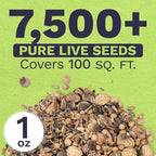 Wildflower Seeds Edible Flowers Mix - 1 Ounce Over 7,000 Open Pollinated Annual and Perennial Seeds