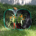 RESTCLOUD Insect and Butterfly Habitat Cage Terrarium Pop-up 12 X 12 X 12 Inches