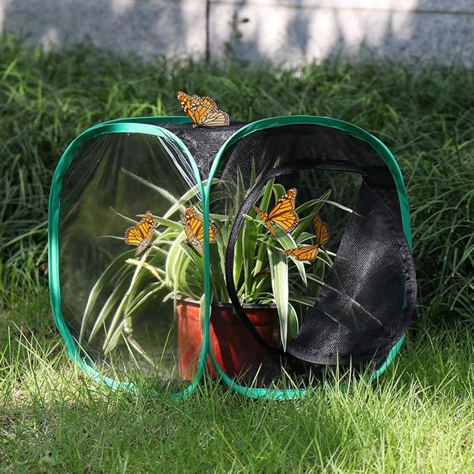 RESTCLOUD Insect and Butterfly Habitat Cage Terrarium Pop-up 12 X 12 X 12 Inches