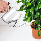Watering Can Indoor Plants, 27 OZ Glass Watering Can, Long Curved Spout, Suitable for Indoor Plants, Bonsai Garden Flower Decoration