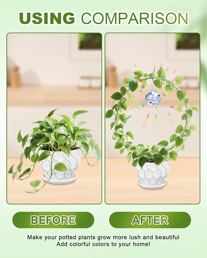 eZAKKA Round Acrylic Plant Trellis, 2 Pcs Hoya Trellis for Supporting Potted Climbing Plants Potted Ivy Indoor Outdoor with 2PCS Crystal Sun Catcher,9 x 11.8in