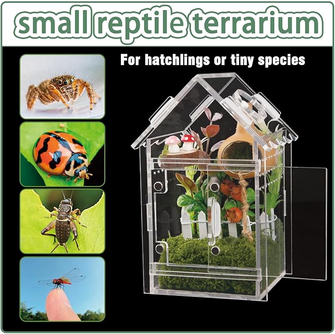 Acrylic Terrarium Kit for Jumping Spiders & Tarantulas - 3.15"x3.15"x5.6" Spider Enclosure with Magnetic Feeding Door & Secure Latch - Ideal Reptile Cage, Praying Mantis Habitat, Bug Terrarium