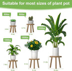 5-Pack Wood Plant Stands Indoor, Single Plant Stand for 6-12 Inch Pots, Mid-Century Modern Plant Stool, Tall Plant Stand for Large Plants for Living Room, Balcony, Office (Light Brown)