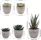Set of 5 Artificial Succulent Plants in Pots - Lifelike Fake Succulents for Desk Decor, Low--Maintenance Home & Office Decor Gift