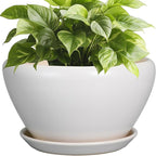 Ceramicfor Ceramic Planter - 9 Inch Plant Pot Indoor with Drainage Hole and Saucer for Outdoor Plants Mid-Century Round Planter Modern Flower Pot for House Garden White