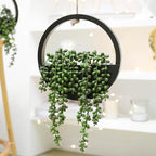 Artificial Hanging Plants Hanging Planter Fake Succulents Artificial String of Pearls with Pot and Lanyard for Home Office Wall Decoration