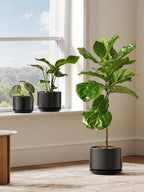 LE TAUCI Ceramic Plant Pots, Set of 2, 8+10 Inch Plant Pots Indoor with Drainage Hole & Saucer, Sturdy Planters for Indoor Plants, Modern Minimalist Decor for Snake Plant, Monstera, Black