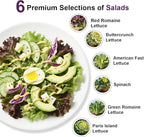 Salad Greens Seed Pod Kit for AeroGarden, iDoo, Ahopegarden, MUFGA with Red/Green Romain/American Fast/Buttercrunch/Parris Island Lettuce, Spinach - Compatible with All Garden(8-Pod)