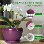 Ceramic Planter - 8 Inch Plant Pot Indoor with Drainage Hole and Saucer, Glaze Decorative Planter, Round Flower Pot, Plant Lover Gifts, Home Garden Office Decor, Purple