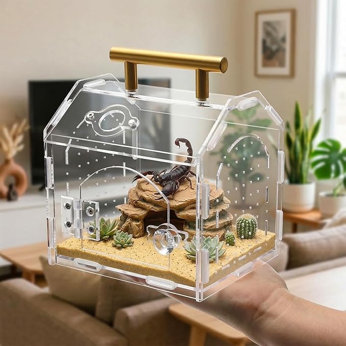 Tlence Jumping Spider Enclosure with Handle, Acrylic Reptile Habitat with One-Click Magnetic Closure, Front Opening Small Terrarium with Ventilation Holes for Tarantulas, Frogs, Gecko, Mantis
