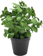 Coferset Small Fake Plants Mint Artificial Potted Plants for Home Office Bathroom Shelf Farmhouse Coffee Table Decor (Green)