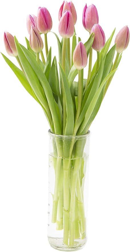 KaBloom Flowers - Valentine Collection - Bouquet of Fresh Pink Tulips with Vase (Farm-Fresh, Cut-to-Order and Homegrown in the USA). Gift for Birthday,Valentine, Mother’s Day Fresh Flowers