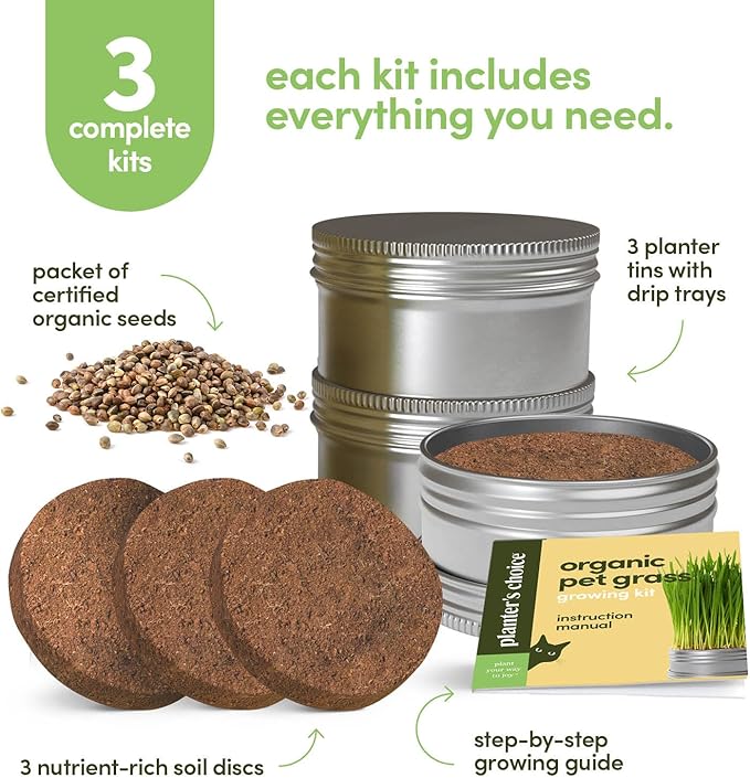 Cat Grass for Indoor Cats Kit - 3 Complete Growing Organic Planter Kits - Grow Your Own Cat Grass - Organic Plant Seeds - Pet Health Supplies Stuff - Gift for Pet Lover