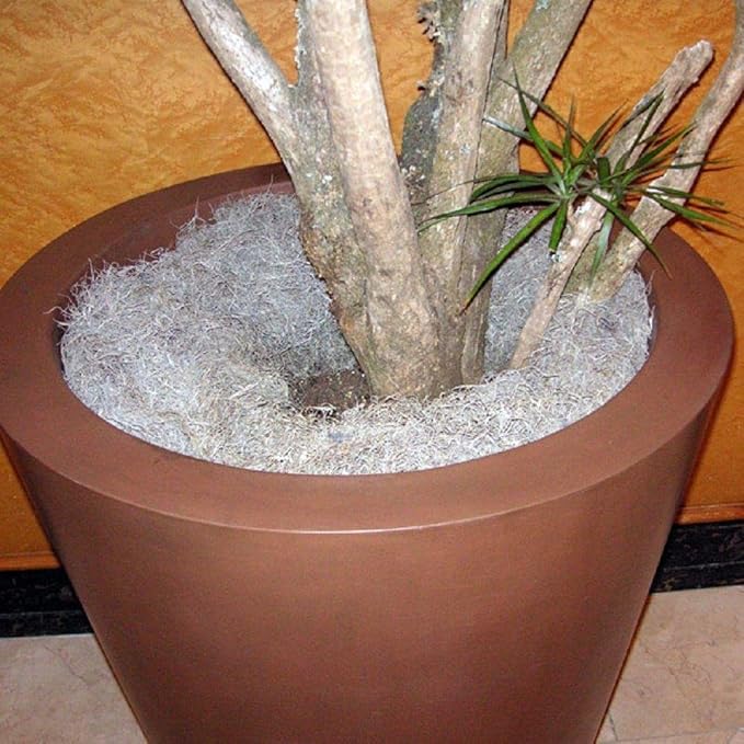 Mosser Lee Spanish Moss – Natural Decorative Moss for Houseplants, Soil Cover, Crafts, Terrariums & Floral Arrangements - 2.4 Cubic Foot