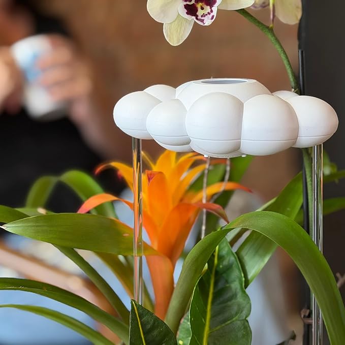 The Original Dripping Rain Cloud for Plants, Plant Watering Rain Cloud, Plant Lover Gifts, Plant Lady Gifts for Women, Plant Accessories