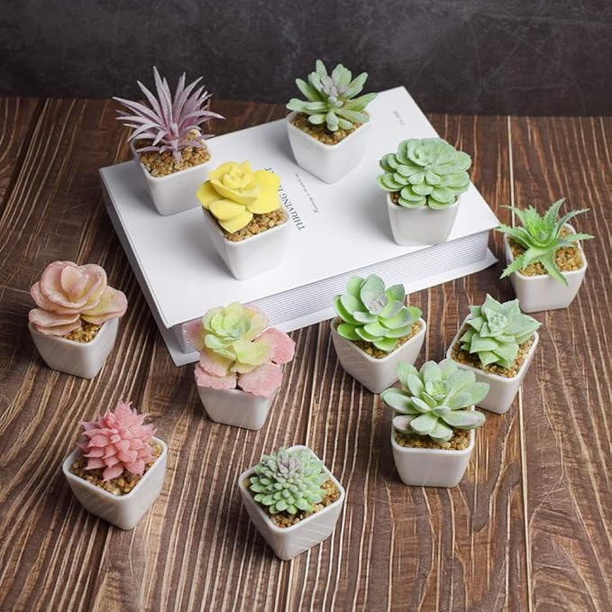 Tiita Artificial Faux Succulents in Pots Fake Plants Plastic Arrangement Planter Small Mini Tiny Decoration for Home Office Desk Window Sill Bathroom Bedroom Outdoor Indoor 12 Set