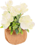 SHINEOFI Artificial Phalaenopsis Orchid Bonsai Fake Flowers Potted Faux Orchid with White Spray and Jute Bag Home Decoration Desktop Accent for Living Room and Office
