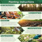 199+ Hosta Flower Seeds for Planting - Non-GMO Heirloom Perennial, Perfect for Shaded Gardens, Low Maintenance & Long Blooming Plants