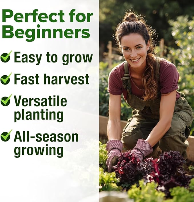 HOME GROWN Lettuce Seeds for Planting - 8 Varieties Non-GMO Heirloom Salad Greens Seeds - 9000+ USA-Sourced Vegetable Seeds for Planting Outdoors, Indoors, Hydroponic Garden
