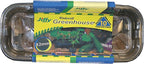 Jiffy 42mm Windowsill Greenhouse 10