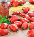 5 Pack san marzano Tomato Plant - Heirloom Paste Tomato - 2.5" Pot 222546
