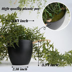 3 Packs Fake Hanging Plants with Black Pots, 18.5" Artificial Hanging Plants for Wall Decor, Fake Plants Mandala Vine Indoor/Outdoor for Home Bathroom Bedroom Kitchen Office Room Decor