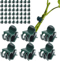 70 Pcs Plant Clips Orchid Clips Plants Orchid Support Clips Flower Vine Clips for Supporting Stems Vines Stalks Climbing Plant Grow Upright