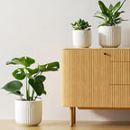 LE TAUCI Fluted Ceramic Planters, 8.3/7/6 Inch Indoor Pots for Plants with Drainage Holes & Mesh, Modern Matte Glaze Cylinder Plant Pot for Snake Plant, Set of 3, White