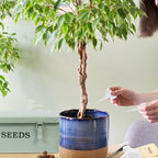 Seed Storage Organizer, 4 Compartment Seed Storage Box with Safety Lock, Metal Seed Box Container with 2 Pens, 20 Plant Labels and 50 Seed Envelopes for Seed Packet & Small Garden Tool, Green