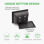 GROWNEER Bonsai Pots 3 Packs 11 Inch Bonsai Tree Training Pot with Humidity Drainage Trays & Repotting Mat Rectangle Planter Plants Starter Kit Growing for Garden Yard Office Indoor Outdoor