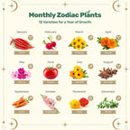 Lush&Dew Gardening Gifts for Women Men, Zodiac Garden Seed Bank, 12 Varieties Non-GMO Heirloom Vegetables Flower Seeds, Hand Craft Storage Box with Moon Calendar for Fire Signs, USDA Zone 3-11