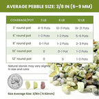 3/8 Inch Polished Decorative Pebbles, River Rocks for Indoor Plants, Succulents, Planters, Vases, Fish Tank, Aquarium Gravel & Landscaping, Jade Green, 6L