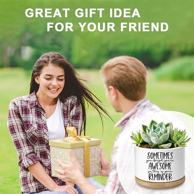 Cute Succulent Planter, Flower Cactus Plant Pot Gifts, Thank You Inspirational Gifts for Women Men Coworkers Teachers Plant Lovers, Office Home Windowsill Indoor Decor (No Plants)
