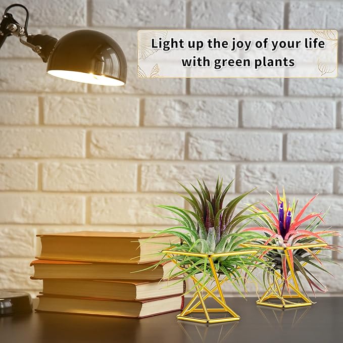 Funrous 12 Pcs Air Plant Holders Geometric Gold Airplants Rack Metal Geometric Decor Classic Modern Air Fern Plant Stands Mini Golden Planters Tillandsia Pot Containers for Office Home Wedding