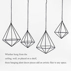 Geometric Air Plant Hangers - 4 Pack Black Metal Tillandsia Display Cages, Hanging Air Plant Holders for Indoor Plants Decor, Air Fern Frame
