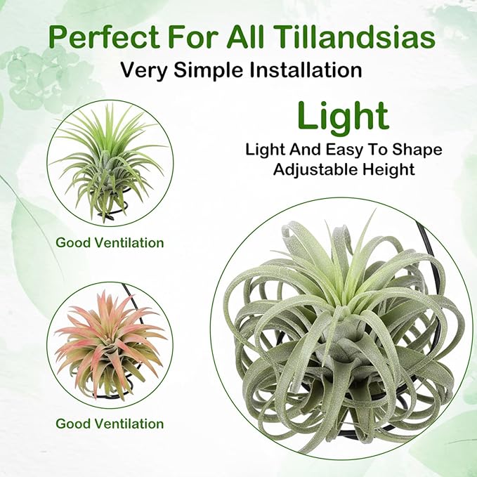 12 Set Hanging Air Plant Holder, Adjustable Air Plant Hanger with Jute Ropes Soilless Succulent Display Container Airplant Stand for Home Office Decor