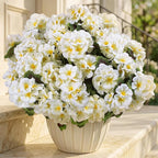 lovemoon 16 Pcs Artificial Geranium Plant with Realistic Silk Flowers and Green Leaves，Faux Geranium Flowers for Indoor Outdoor Home Garden Office Decoration (16, White)