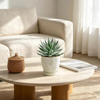 Briful Artificial Succulent Plant in White Ceramic Planter with Saucer, Small Fake Agave Plant, Faux Plant Indoor for Desk, Bathroom, Shelf, Office, Farmhouse Home Decor, 9 Inch