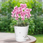 Vanslogreen Orchid Pots with Holes, 6 Inch Self Watering Orchid Pot 2 Pack Plastic Plant Pots for Orchid, Flower (White)