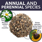 Drought Tolerant Wildflowers Mix – Bulk 5 Pounds – Over 600,000 Open Pollinated Non-GMO Seeds – 21 Different Dryland Species