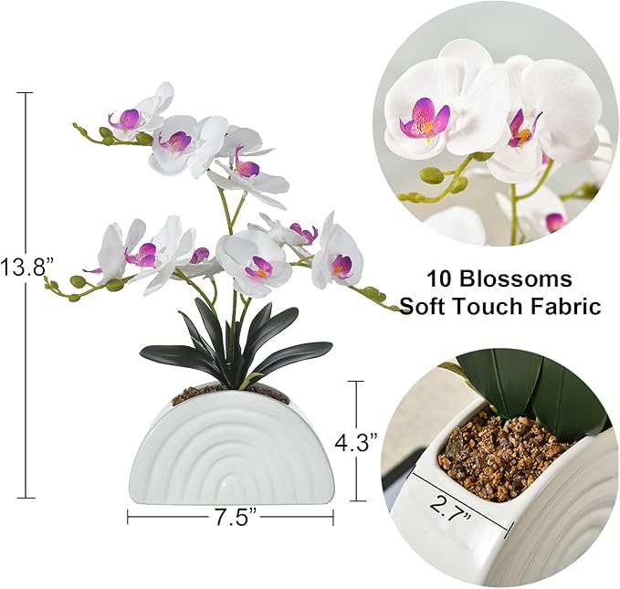 Fake Orchid Plant in White Rainbow Pot, Artificial Silk Phalaenopsis Orchid Flowers for Home Décor, Table Centerpiece, Office Desk (White)