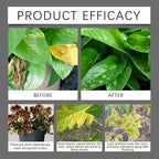 Soil Activators, Organic Soil Activator & Plant Fertilizer, Supports Root Development & Nutrient Absorption for Garden, Lawn, Indoor & Outdoor Plants 200g