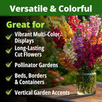 HOME GROWN Snapdragon Seeds Tetra (0.3g) – 2000 Tall Flower Seeds to Plant Outside - Vibrant Perennial Snapdragons Mixed Colors - Cut Flower Seeds for Gardens, Borders, Bouquets (Antirrhinum majus)
