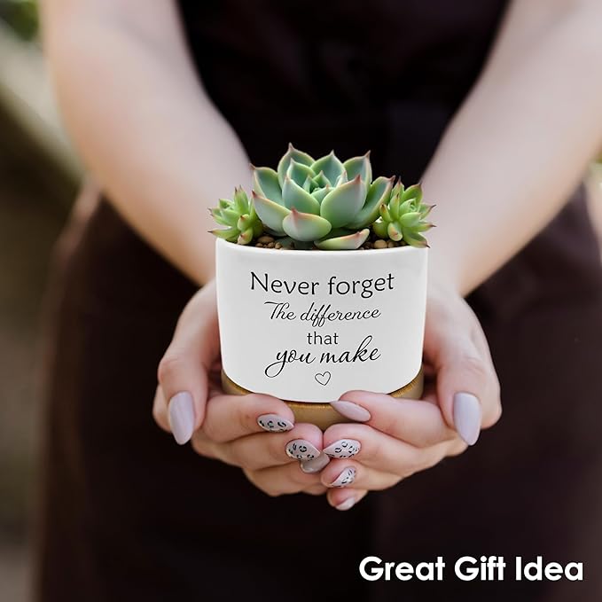 Coworkers Leaving Gifts Plant Pots, Boss Appreciation Gifts Succulent Planters, Never Forget The Difference You Make Ceramic Plant Flower Pots for Home Office Desk Table Shelf(No Plants)