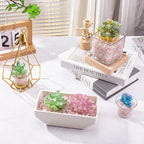0.88 Lb Rose Quartz Crushed Stones Crystal Chips Bulk, Natural Gemstones Healing Reiki Crystals Mini Quartz Pebbles Irregular Shaped Decorative Vase Fillers Aquarium Gravel Rocks
