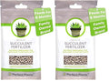 Succulent and Cactus Fertilizer in 5oz. Bag | Long Lasting Gentle Plant Food Formula for All Live Succulents, Cacti, and Other Desert Houseplants (Pack of 2)