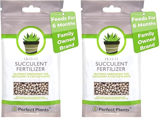 Succulent and Cactus Fertilizer in 5oz. Bag | Long Lasting Gentle Plant Food Formula for All Live Succulents, Cacti, and Other Desert Houseplants (Pack of 2)