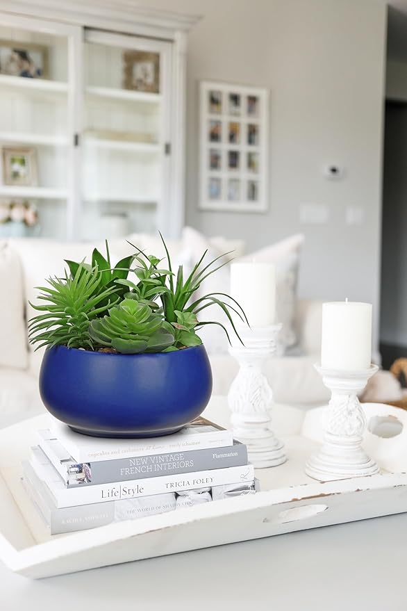 Hollyone Fake Plants Artificial Succulents in Pots Faux Succulent Arrangement Potted Plant in Blue Ceramic Planter Bowl for Home Decor Office Desk Bathroom Shelf Living Room Indoor Decorations