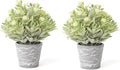 2 Pack Small Desk Plants, Artificial Bathroom Plants Decor with Flower in Vintage Melamine Pots, Faux Plants Indoor for Shelf Decor in Home Office, and Spring Decor (Ivory White)